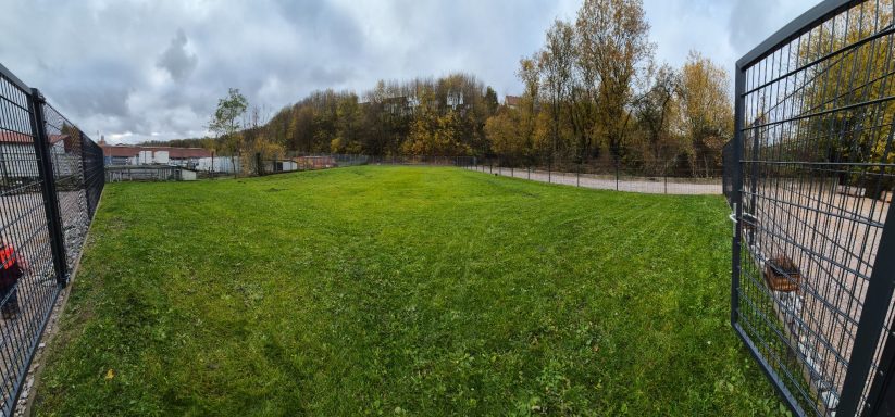 Büren Hundeschule Außenbereich - Hundeplatz mit Gras